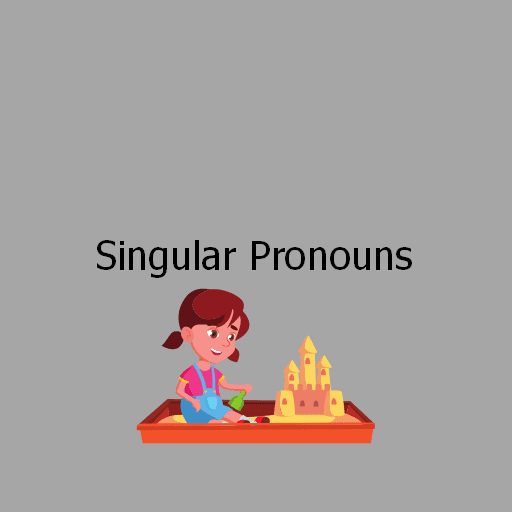 Singular Pronouns